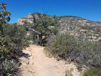 Bear Mountain Trail - Section 2 - 201