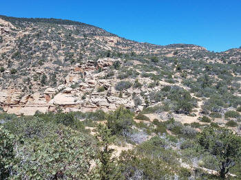 Bear Mountain Trail - Section 2 - 204