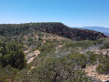 Bear Mountain Trail - Section 2 - 209