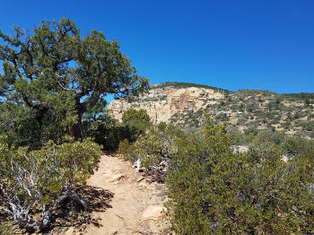 Bear Mountain Trail - Section 2 - 2011