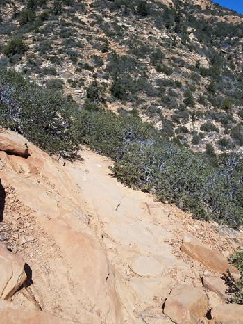 Bear Mountain Trail - Section 2 - 303