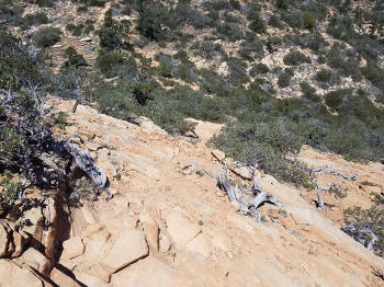 Bear Mountain Trail - Section 2 - 304