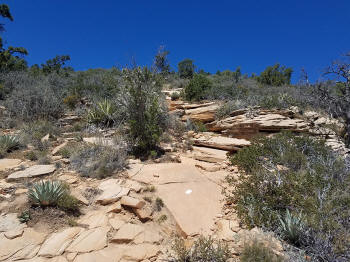 Bear Mountain Trail - Section 2 - 305