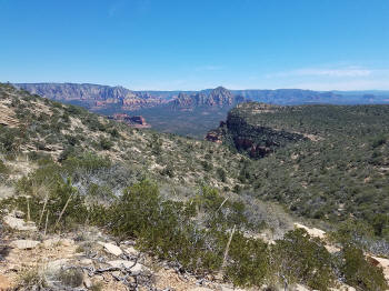 Bear Mountain Trail - Section 2 - 307