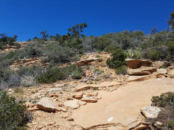 Bear Mountain Trail - Section 2 - 309