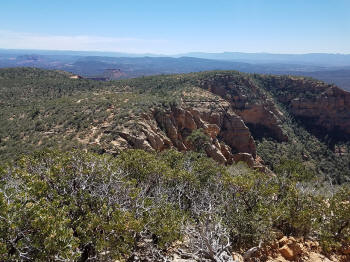 Bear Mountain Trail - Section 2 - 311