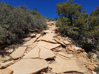 Bear Mountain Trail - Section 2 - 312