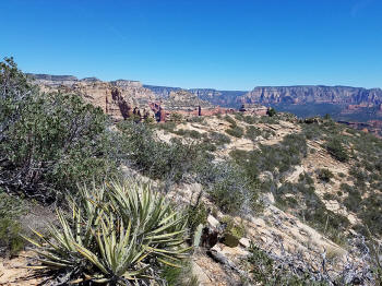 Bear Mountain Trail - Section 2 - 320