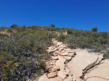 Bear Mountain Trail - Section 2 - 316