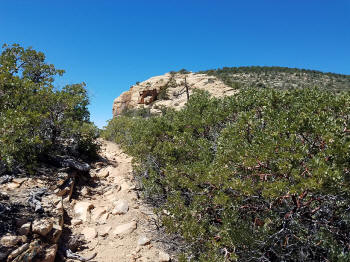 Bear Mountain Trail - Section 2 - 319