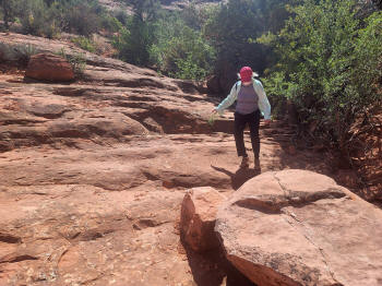 Decending Hog Heaven Trail 100