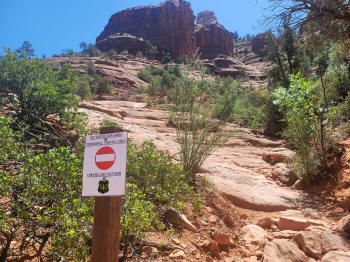 Decending Hog Heaven Trail 101