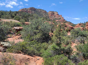 Trail Junction Twin Buttes and Hog Heaven 6