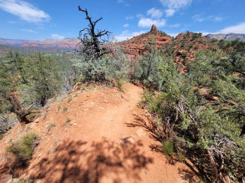 Decending Hog Heaven Trail 77