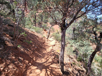 Decending Hog Heaven Trail 78