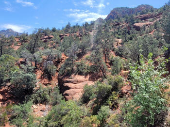 Decending Hog Heaven Trail  81