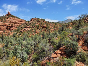 Decending Hog Heaven Trail 82