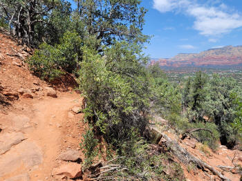 Decending Hog Heaven Trail 86