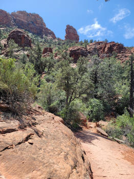 Decending Hog Heaven Trail 88