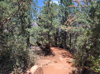 Decending Hog Heaven Trail 90