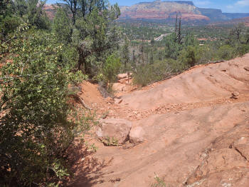 Decending Hog Heaven Trail 99