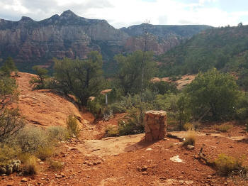 Hog Heaven Tral - Discent - Picture 3