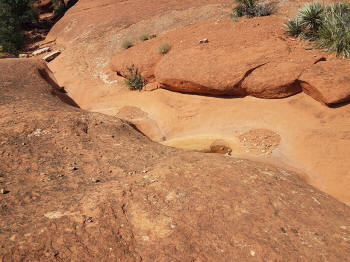 Hog Heaven Trail - Descent - 24