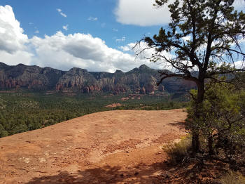 Hog Heaven Trail - Descent - 29