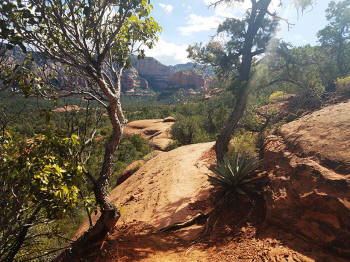 Hog Heaven Trail - Descent - 30