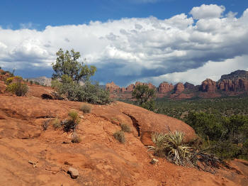 Hog Heaven Trail - Descent - Picture 34