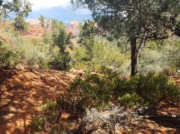 Hog Heaven Trail - Descent - 35