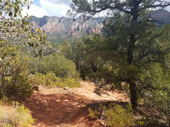 Hog Heaven Trail - Descent - Picture 36