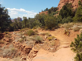 Little Horse Trail Picture 23