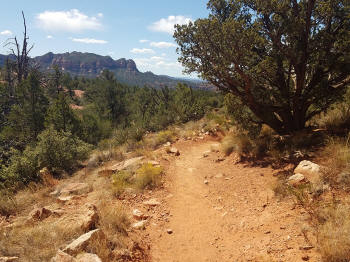 Little Horse Trail Picture 24