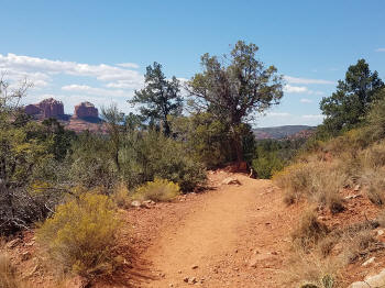 Little Horse Trail Picture 8