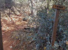 Ridge Trail - Trail Sign