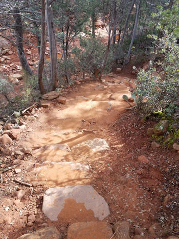 Trail leads to a creek bed.