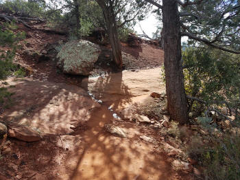 Solider Ridge Trail - Heading South 3