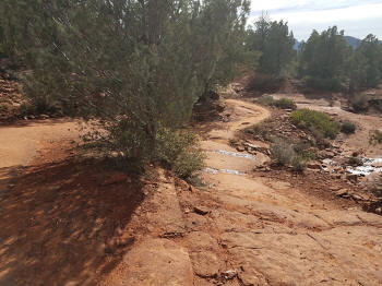 Solider Ridge Trail - Heading South 7