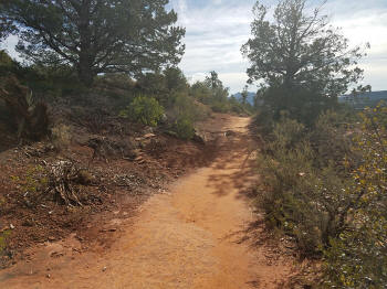 Solider Ridge Trail - Heading South 8