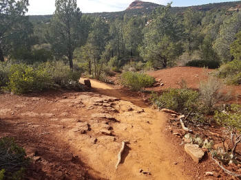 Trail Leading to Soldier Ridge Parking Lot