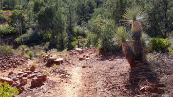 Templeton Trail - Picture 10