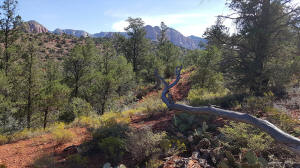 View from Trail Leading From Parking Lot to Templeton Trail at the Base of Cathedral Rock