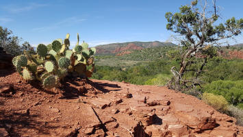 Looking Southwest