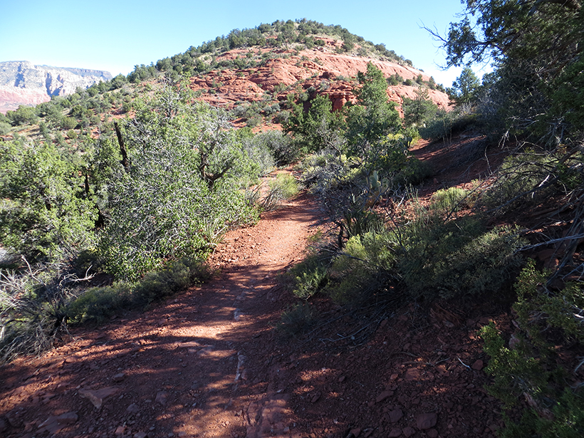 Trail on the northeast side of Overlook Point which leads to Coconino Loop Trailhead. 