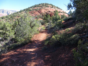 Trail Leading to Coconino Loop Trail.   On the East Side of Overlook Point