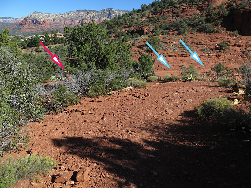 Distant view of the beginning of Coconino Loop Trail (blue arrows). 