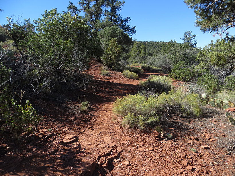 Northside of Coconino Loop Trail - Picture 2