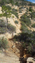 Section 3 Bear Mountain Trail 2