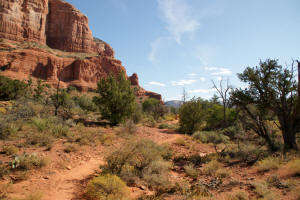 Trail South of Courthouse Butte